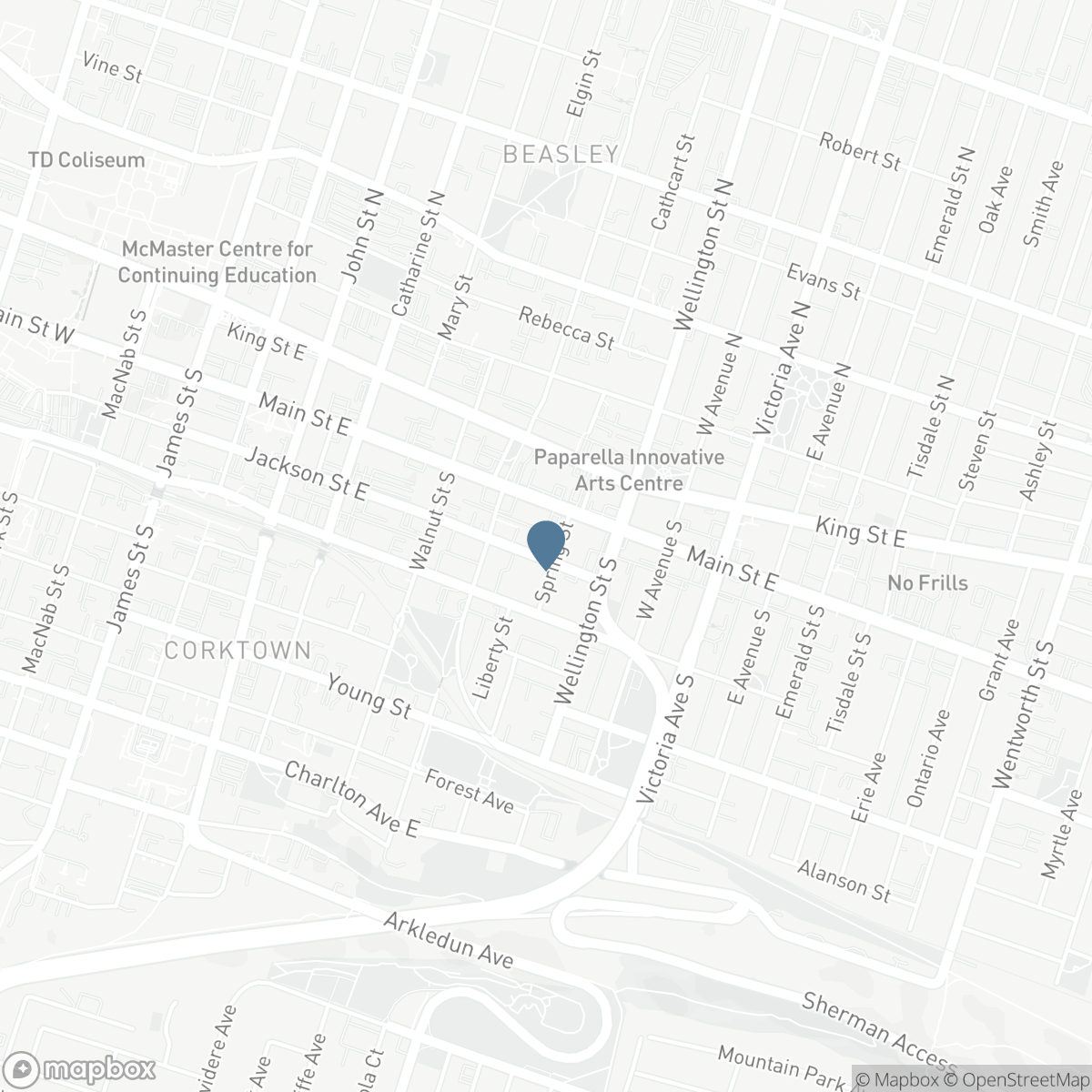 22 SPRING STREET, Hamilton, Ontario L8N 2N9